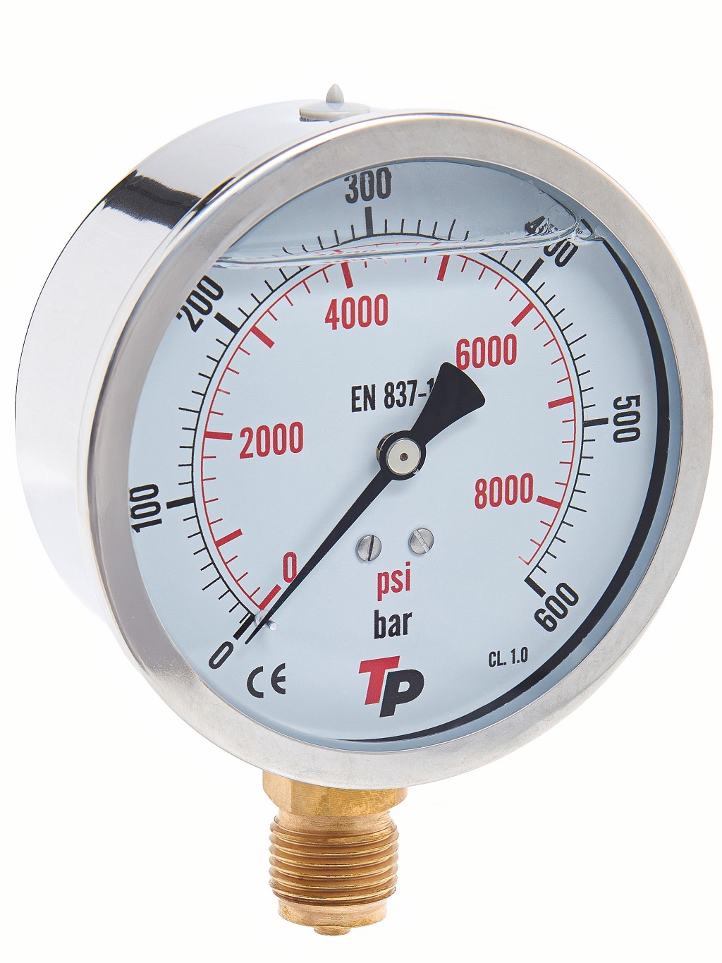 Манометр радиальный 100 мм 0-600 bar 1/2BSP TP
